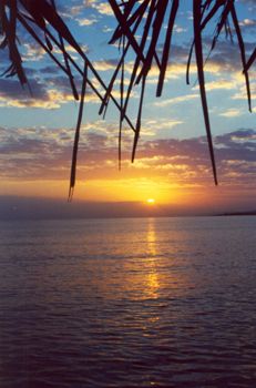 Jamaican Sunrise- Minolta Maxxum 300si, Taken in the earl... by Rebecca Urban 